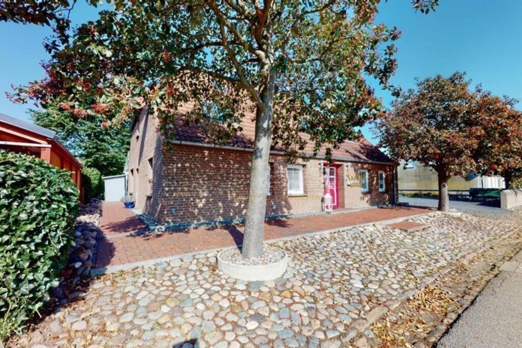 Idyllisches Grosses Ferienhaus Fehmarn Kültér fotó